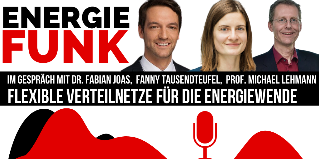 E&M-Energiefunk - Flexible Verteilnetze für die Energiewende - Podcast für die Energiewirtschaft