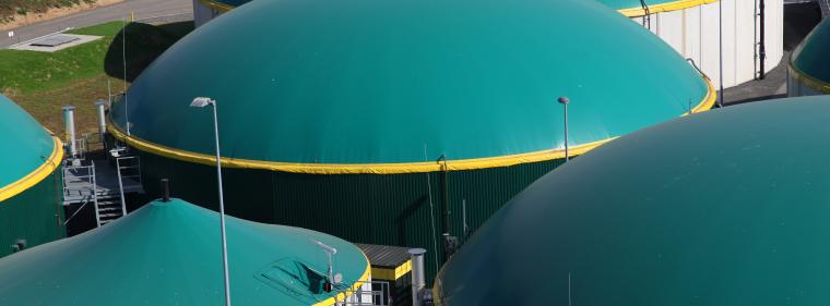 Enerige & Management > Gas - Biomethanbranche hofft auf deutliche Steigerung