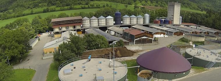 Enerige & Management > Biogas - Bakterien füttern nach Plan
