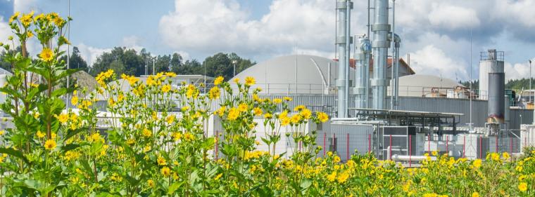 Enerige & Management > Biogas - Erdgas Südwest-Tochter firmiert um