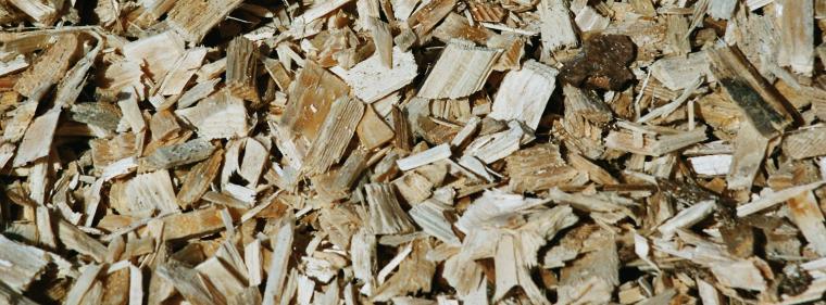 Enerige & Management > Biomasse - Förderprogramm für kleine Anlagen erweitert