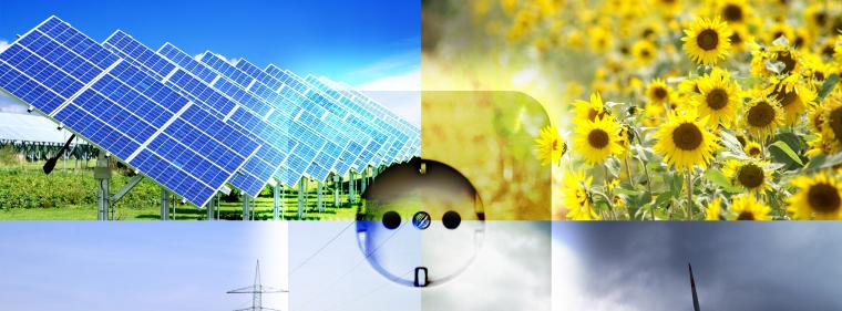 Enerige & Management > Regenerative - Steigende Direktvermarktung 2016 erwartet