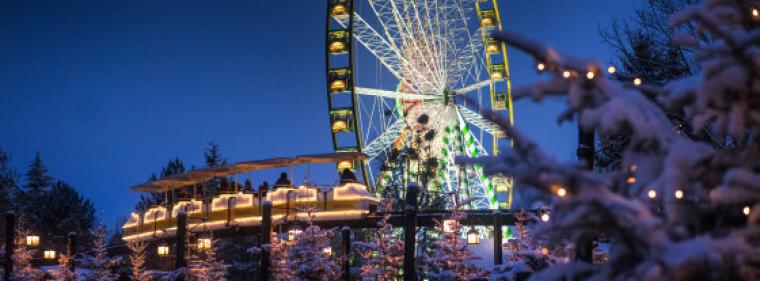 Enerige & Management > Photovoltaik - Europa-Park Rust will 2024 energieautark sein 