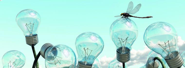 Enerige & Management > Innovation - Mehr oder weniger strategische Beinfreiheit