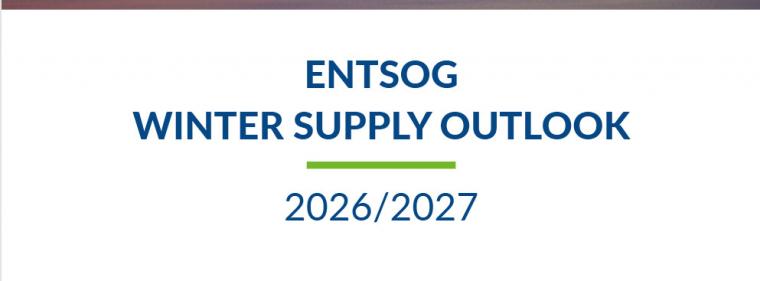 Enerige & Management > Gasversorgung - Für den kommenden Winter zählt jedes Molekül