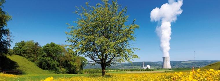 Enerige & Management > Kernkraft - Schweizer Atomaufsicht in der Kritik