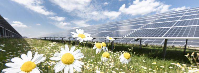 Enerige & Management > Photovoltaik - ALH-Versicherung deckt sich mit Solarparks ein