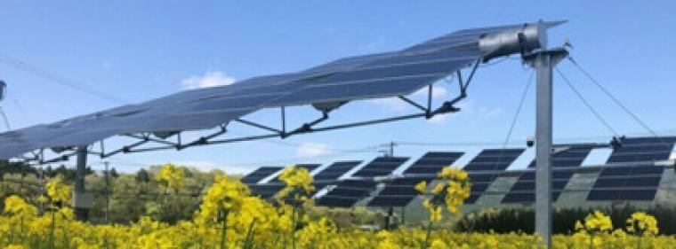 Enerige & Management > Photovoltaik - Neuer Verband will sich für Agri-PV einsetzen