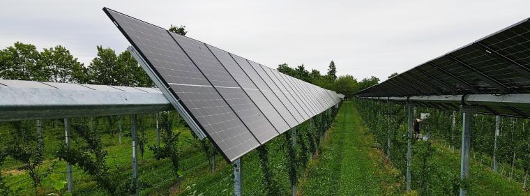 Enerige & Management > Photovoltaik - Fraunhofer-Ausgründung bringt Solartechnik aufs Feld