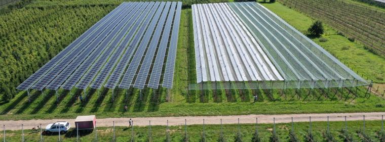 Enerige & Management > Photovoltaik - Rund 500 Mrd. kWh Strom pro Jahr über Agri-PV möglich