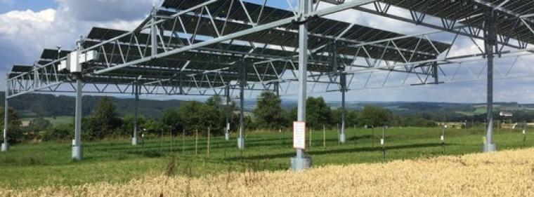 Enerige & Management > Photovoltaik - Landwirte und Stadtwerke planen Agri-PV-Anlage