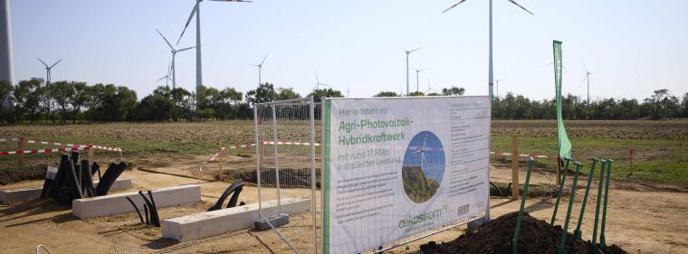 Enerige & Management > Photovoltaik - Grenzüberschreitende Kooperation auf dem Acker