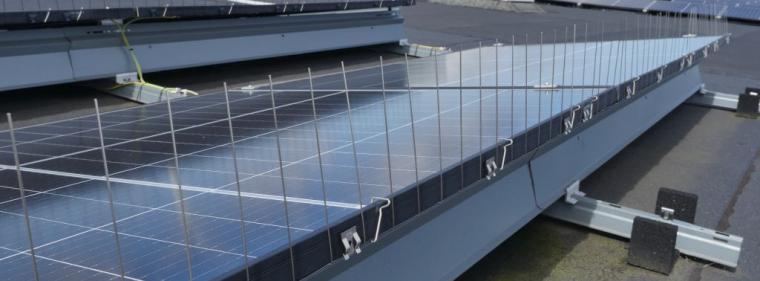 Enerige & Management > Photovoltaik - Schutz vor Vogelkot soll Ertragsverluste mindern