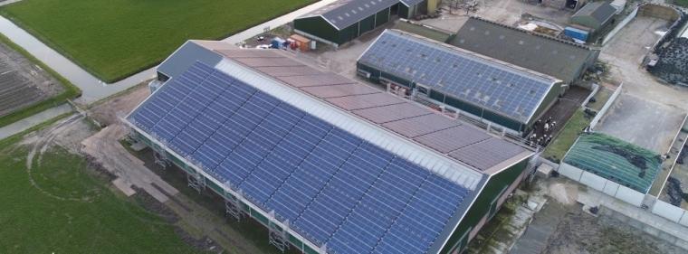 Enerige & Management > Unternehmen - Pfalzsolar baut weiteres PV-Kraftwerk in den Niederlanden