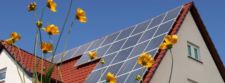 Enerige & Management > Photovoltaik - Die Grünen wollen zweite Solar-Gründerzeit anstoßen