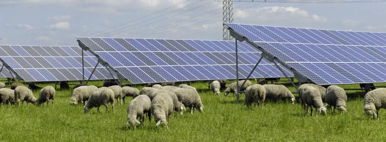 Enerige & Management > Regnerative - Photovoltaik-Zubau in Bayern weiter auf hohem Niveau