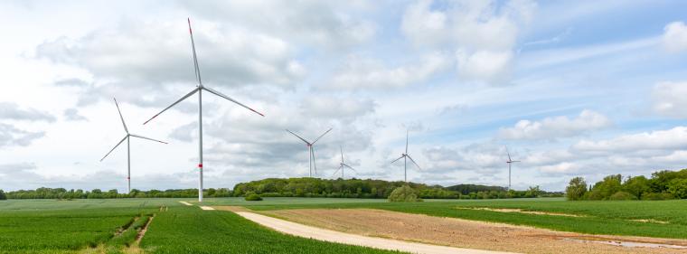 Enerige & Management > Windkraft Onshore - Erster Windpark der Mecklenburg-Vorpommern Energie