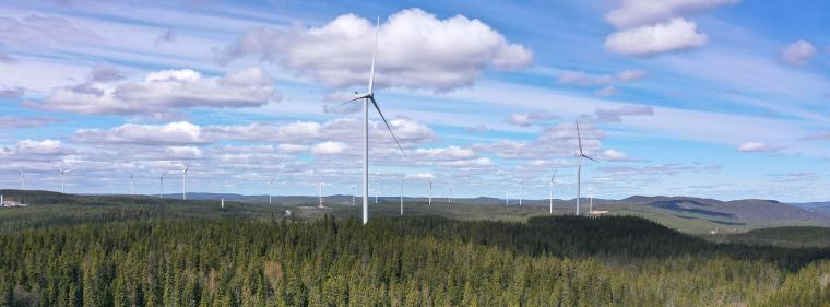 Enerige & Management > Windkraft Onshore - RWE nimmt Giga-Windpark in Schweden in Betrieb