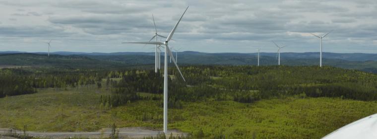 Enerige & Management > Windkraft - Stadtwerke München mit neuem Windpark in Schweden