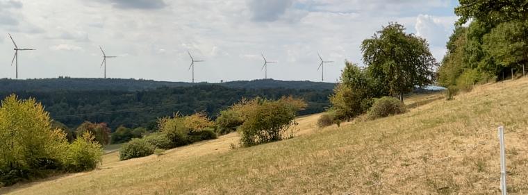 Enerige & Management > Windkraft Onshore - Projektfusion im Ländle soll Tempo bringen