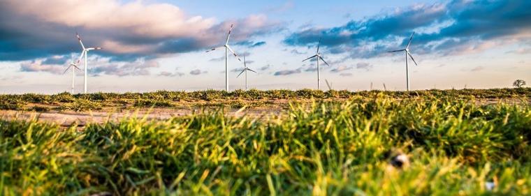 Enerige & Management > Politik - Energiebranche fordert Vorschläge vom Minister
