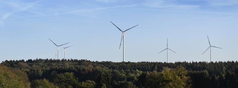 Enerige & Management > Windkraft - Windpark Münsterwald bekommt Zuwachs