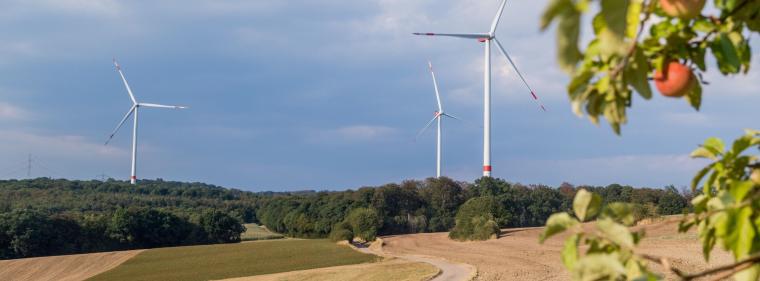 Enerige & Management > Vertrieb - Günstiger Bürgerstrom im Umkreis von Windparks