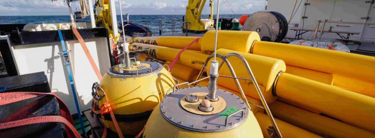 Enerige & Management > Windkraft - Neue Offshore-Windflächen in der Nordsee für Gebote freigegeben