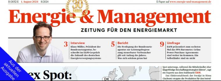 Enerige & Management > Aus Der Aktuellen Zeitung - Geringinvestive Lösungen gefragt