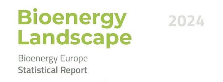 Enerige & Management > Biomasse - Bioenergy Europe stellt Forderungen an die Politik