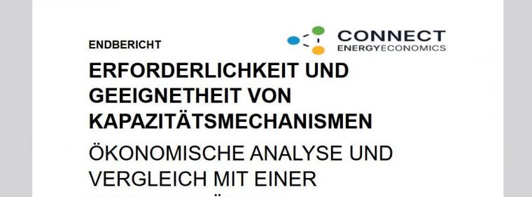 Enerige & Management > Studien - Kraftswerksausschreibungen wettbewerbswidrig