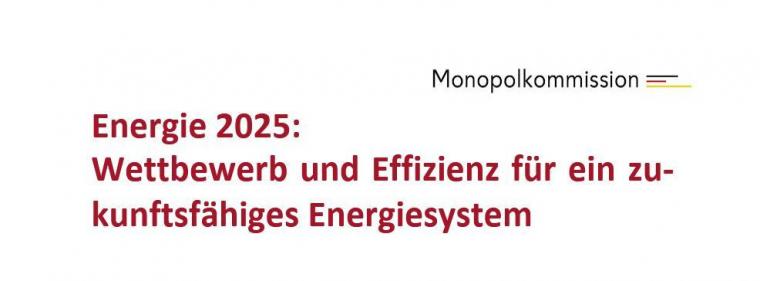 Enerige & Management > Politik - Bundesregierung verteidigt Stromgebotszone