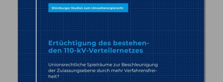 Enerige & Management > Stromnetz - Studie sieht Spielraum für mehr Verfahrensfreiheit