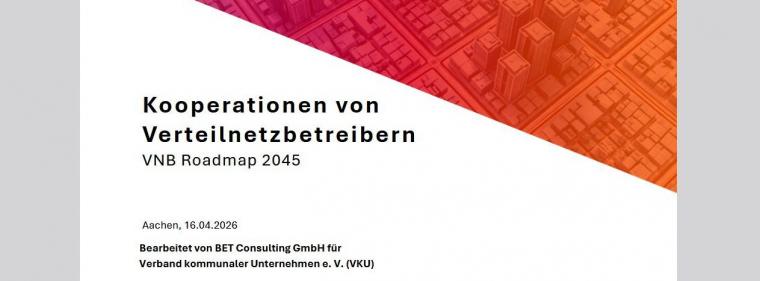 Enerige & Management > Stromnetz - Studie empfiehlt Kooperationen in Verteilnetzen