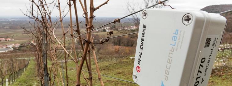 Enerige & Management > IT - Pfalzwerke bauen Lorawan-Netz aus
