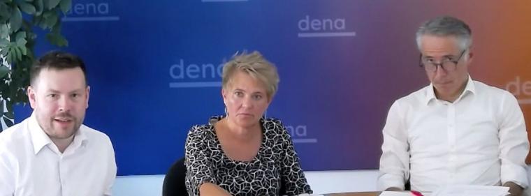 Enerige & Management > Studien - Dena zeigt Wege für starke Verteilnetze auf