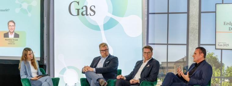 Enerige & Management > Gas - Zukunft des Heizens jetzt klären