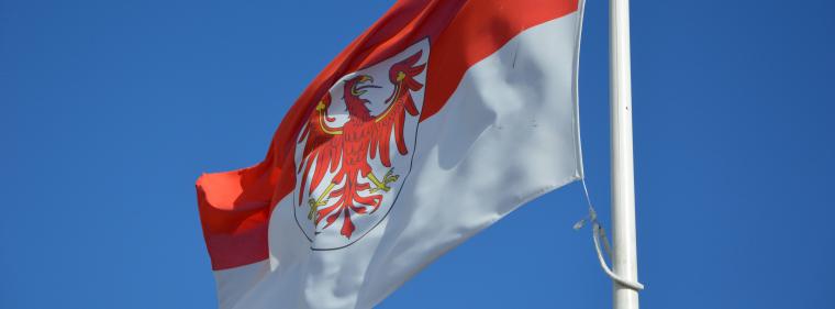 Enerige & Management > Brandenburg - Landtag begrenzt neue Windprojekte