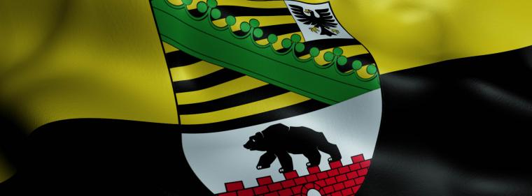 Enerige & Management > Sachsen-Anhalt - Verbände warnen vor Kurswechsel in der Energiewende