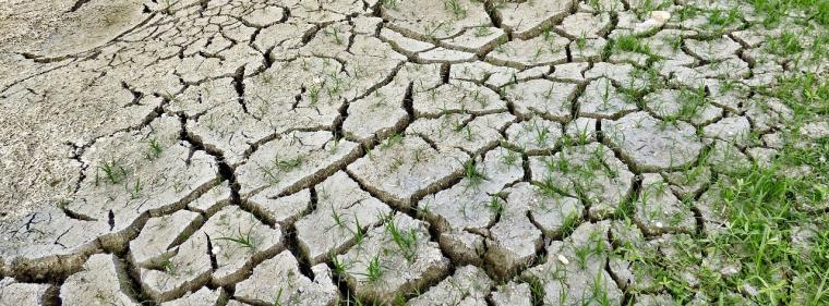 Enerige & Management > Klimaschutz - Baywa Re untersucht Folgen des Krieges für die Klimaziele