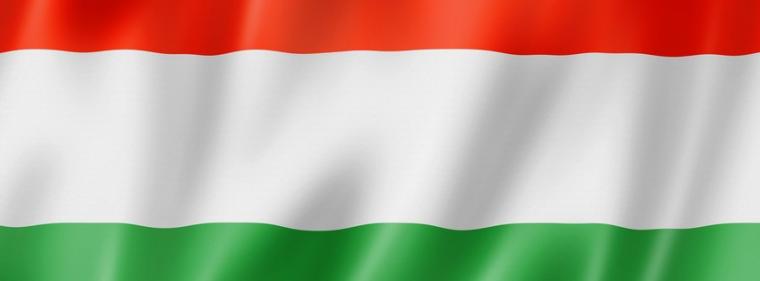 Enerige & Management > Ungarn - Ungarn schottet sich gen Westen ab