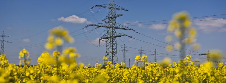 Enerige & Management > Stromnetz - Neue Erdkabel in Schleswig-Holstein 