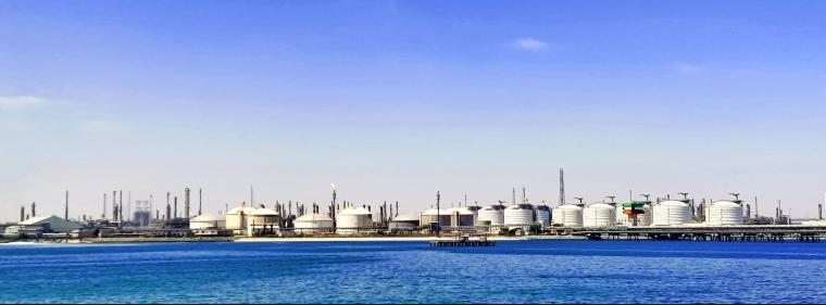 Enerige & Management > Öl - Ölkonzern will von Greenpeace Millionen Euro