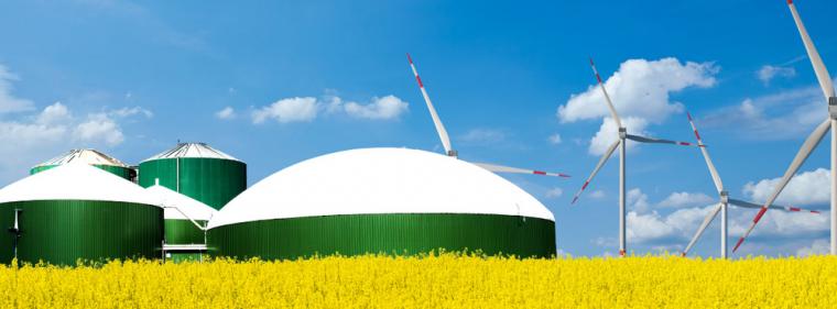 Enerige & Management > Biogas - Flexible Speicherkraftwerke könnten Biokraftbeitrag erhöhen
