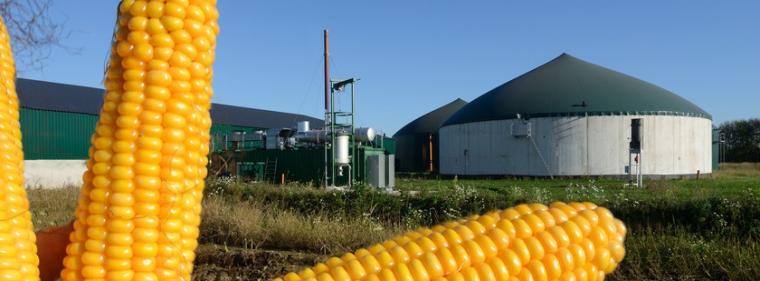 Enerige & Management > Biogas - Biogaszubau in Niedersachen auf niedrigem Niveau