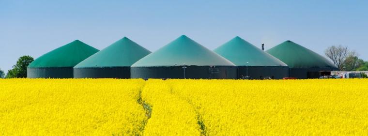 Enerige & Management > Biogas - Mehr Biomethan aus kleinen landwirtschaftlichen Anlagen