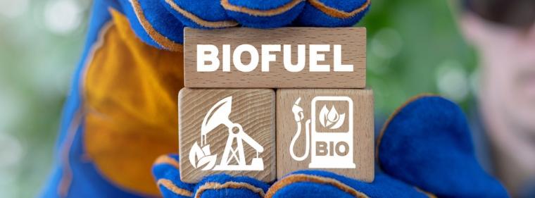 Enerige & Management > Biokraftstoffe - Bio-LNG an Liqvis-Tankstellen ab Herbst 2022