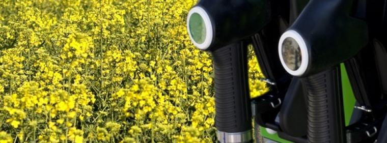 Enerige & Management > Biokraftstoffe - Grüne Verkehrswende mit Biomethan möglich