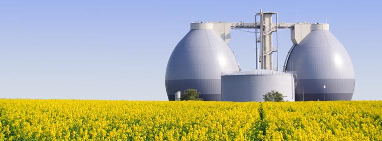 Enerige & Management > Biokraftstoffe - Schwieriges Marktumfeld für Verbio