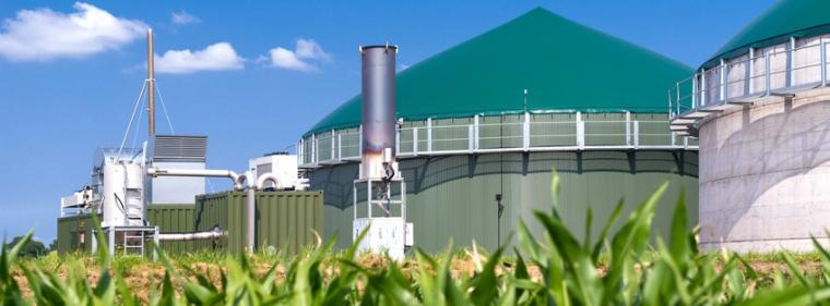 Enerige & Management > Biomasse - Förderprogramm Energetische Biomassenutzung wird fortgesetzt